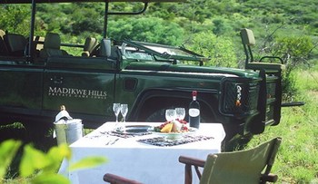 Madikwe Hills Private Game Lodge in Madikwe Game Reserve