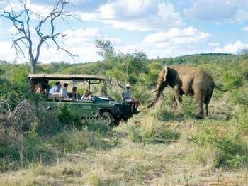 Madikwe Hills Private Game Lodge in Madikwe Game Reserve