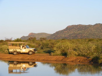 Buffalo Thorn Lodge in Pilanesberg National Park