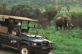 Kwa Maritane Bush Lodge in Pilanesberg National Park