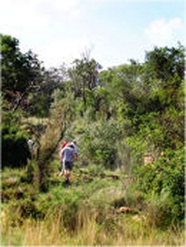 Schoemanshof in Potchefstroom