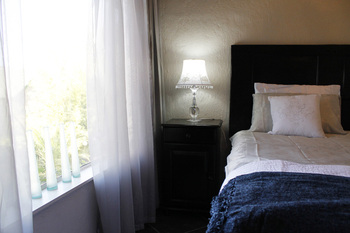 Madeliefie in Potchefstroom