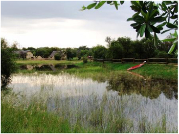Ukutula Lodge and walking with Lions in Brits
