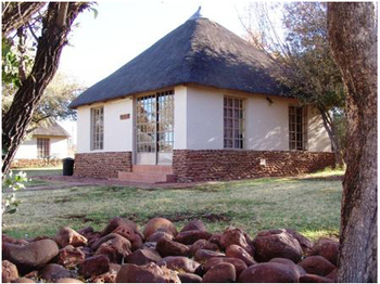 Ukutula Lodge and walking with Lions in Brits