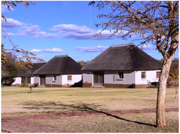 Ukutula Lodge and walking with Lions in Brits
