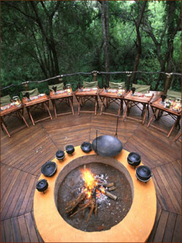 Jaci's Safari and Tree Lodges in Madikwe Game Reserve