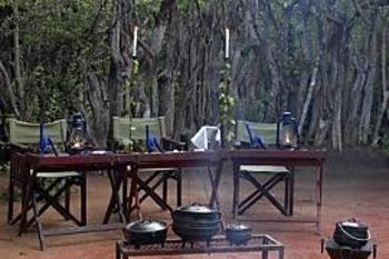 Jaci's Safari and Tree Lodges in Madikwe Game Reserve