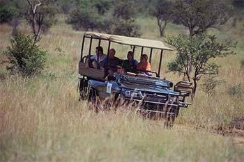 Ivory Tree Game Lodge in Pilanesberg National Park