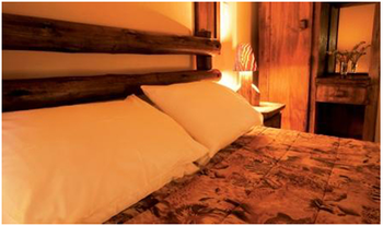 Ukutula Lodge and Lion Education Centre in Brits