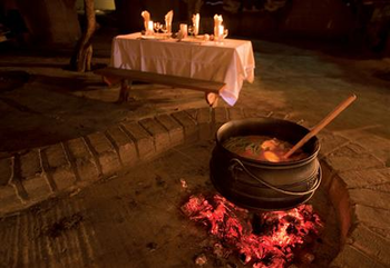Ukutula Lodge and Lion Education Centre in Brits