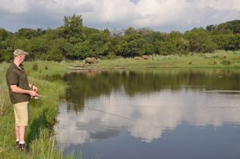 Iwamanzi Game Lodge in Koster