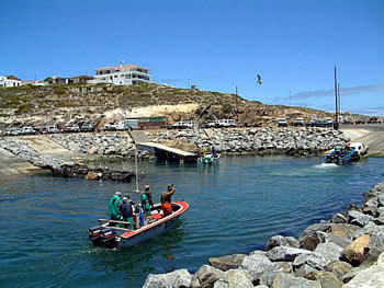 Harbour View Bed & Breakfast in Yzerfontein