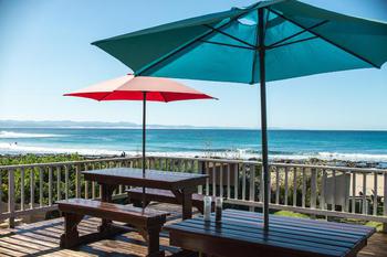 Seashells in Jeffreys Bay