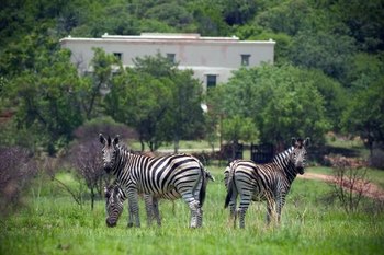 Kedar Heritage Lodge Conference Centre and Spa in Rustenburg